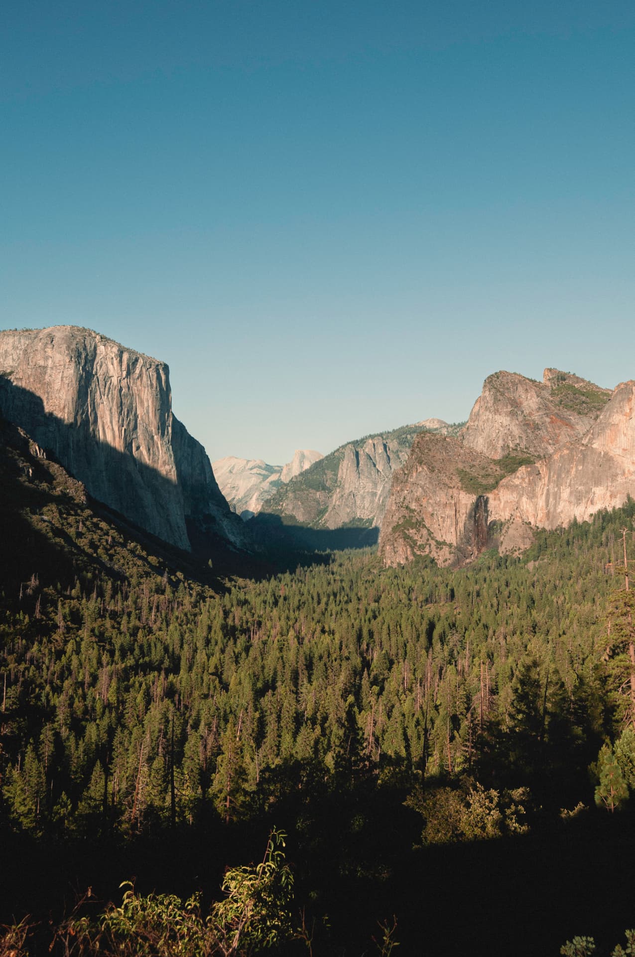 Yosemite Valley at golden hour with El Capitan and Half Dome in the distance. Photograph by Matt Schertzer.